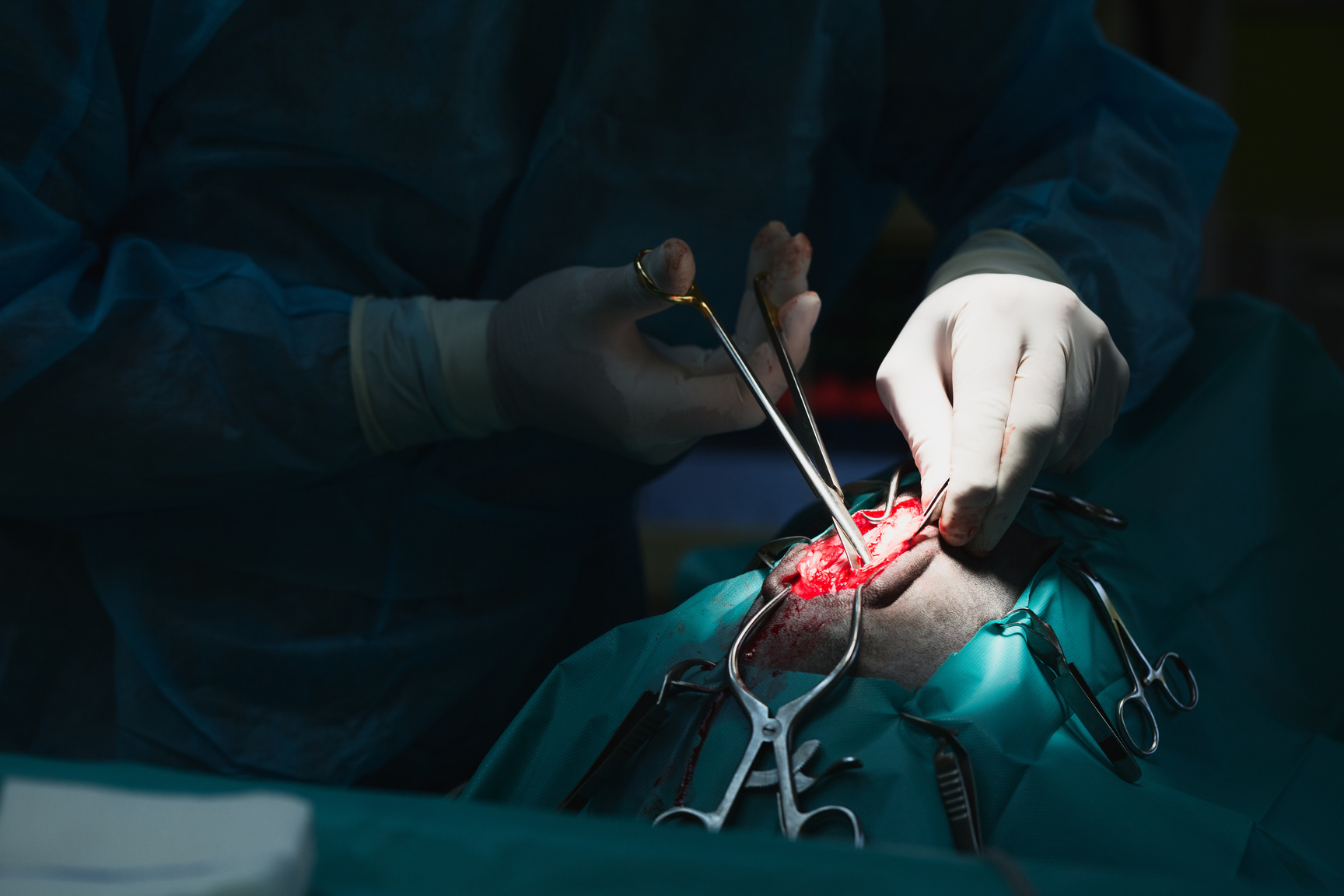 Disc Herniation Surgery at a Vet Clinic